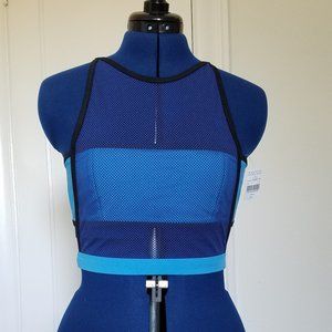 Mesh Bandeau Bikini Top